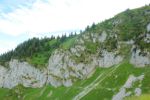 2014-07-05_Laengental-N-Hochweg (821). JPG